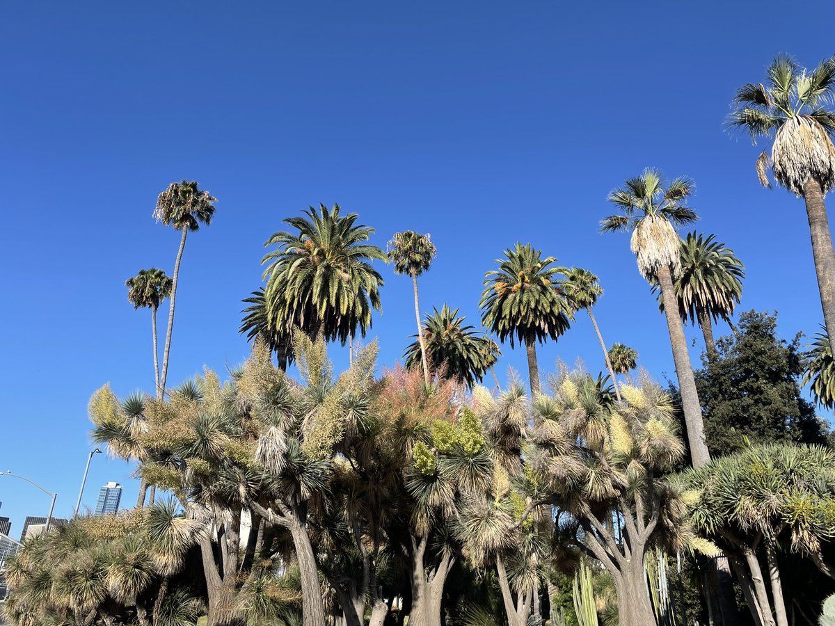 CoachHop's tweet photo. ☀️🌈😎🏃🏼‍♂️ #SundayMorningRun #AnotherOne #westhollywood #beverlyhills #mondaycanwait #weekendgetaway 😃 https://t.co/c2N2yDUm5b
