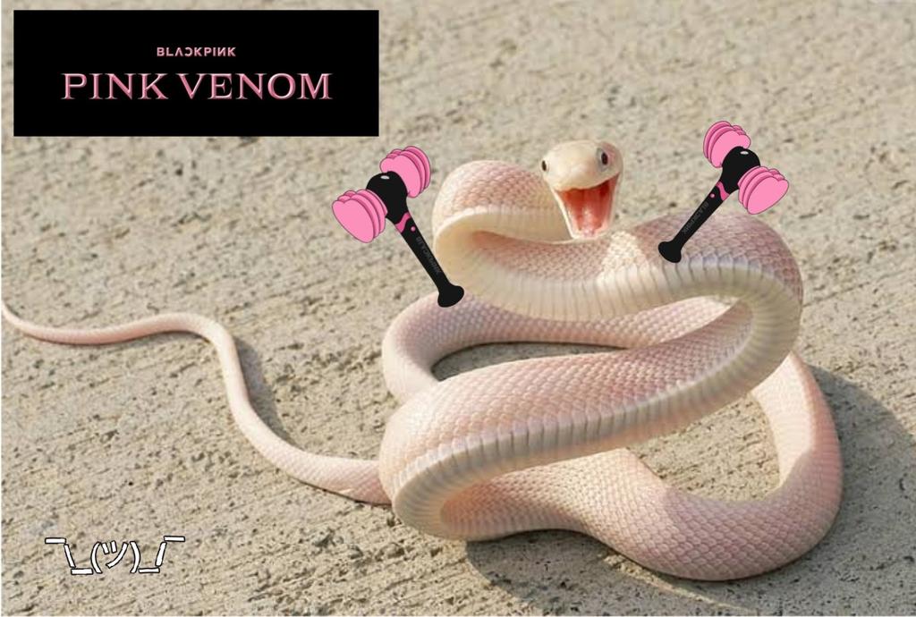 RLoza13's tweet photo. Yo y las que nacimos rosas cuando salga veneno rosa...

BLACKPINK PINK VENOM 
#육년동안_내심장의색은_블랙핑크 #SIXcredibleYearsWithBLACKPINK
@BLACKPINK https://t.co/hNBMU8N1cf