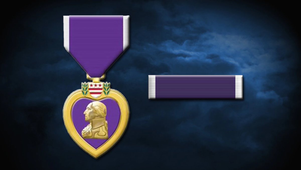 SavingAPaw's tweet photo. https://t.co/8bJ5vIBOv5

#PurpleHeartDay https://t.co/uF3t4sRJzw