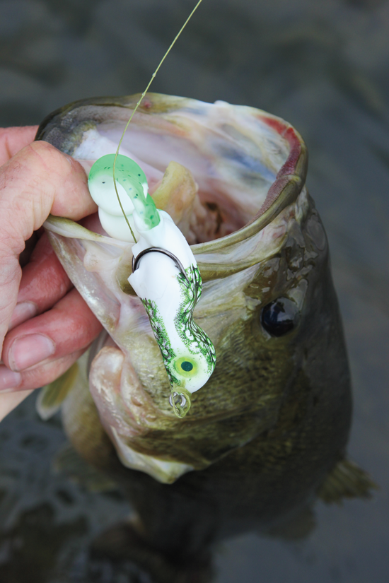 FL_Sportsman's tweet photo. You can't beat a good topwater bite with frog imitations! Click https://t.co/JdQqzL4gXE for tips and tricks to get a rise out of a lunker next time out!
#BeyondTheBait #BassFishing #Frog #TopwaterBite #TopwaterBassin' #GameAndFishMagazine series brought to you by @Streamlight. https://t.co/cyjjlYFxEp
