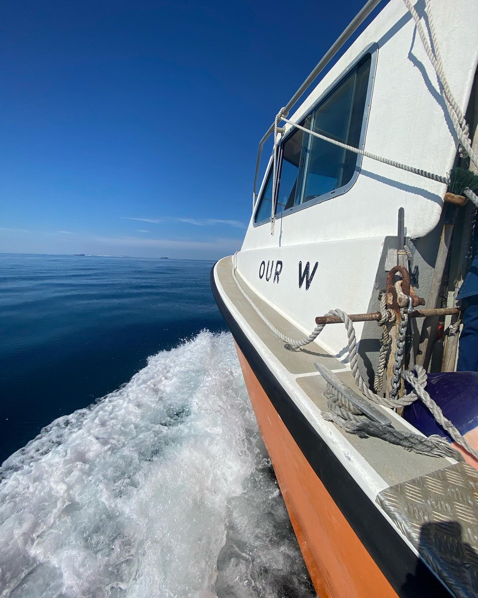 Another great days diving on MV Our W. Calm seas, plenty of sunshine and superb vis on the wreck of the SS Persiana #Prism2 #hollis #rebreather #channeldiving #tecdiving #CCR #ukdiver #ukdiving #eastbourne #dive125…

📸 instagram.com/p/Cg9q-NDDs8l/ via tweet.photo