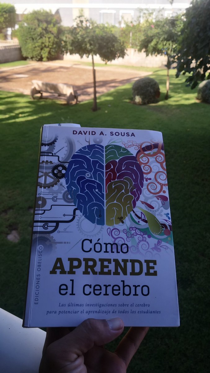 MllpEF's tweet photo. Lectura 100% recomendable.
"Que importante es entender nuestro cerebro para poder estimular procesos de aprendizaje significativos y motivantes ..." https://t.co/qLWLOroIoh