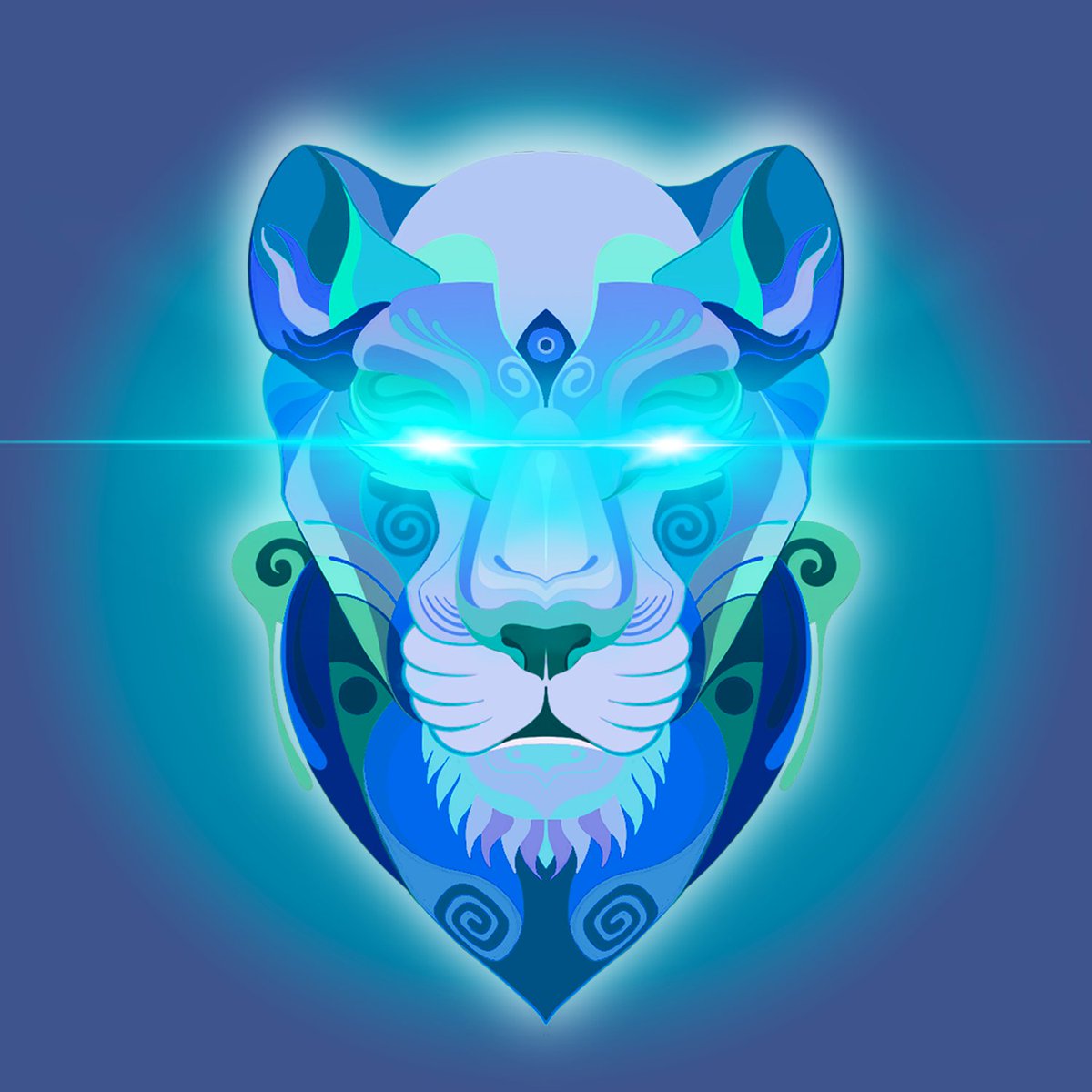 HIGHVIBE NETWORK tweet media