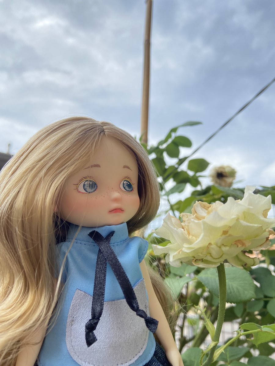 silvia_ryu's tweet photo. Bobee doll - Still searching for a proper name for her
#bobee #pipitom #flowers https://t.co/F6hh2jcVE3
