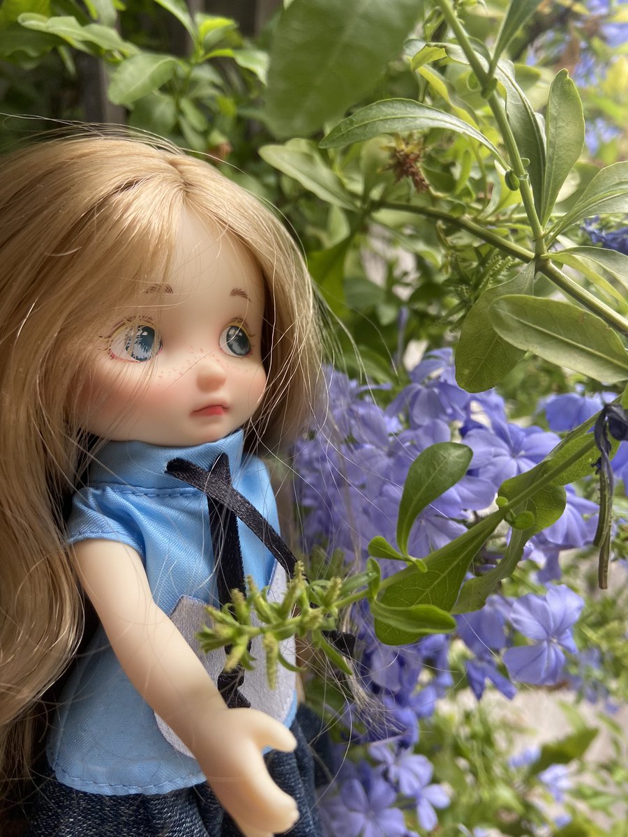 silvia_ryu's tweet photo. Bobee doll - Still searching for a proper name for her
#bobee #pipitom #flowers https://t.co/F6hh2jcVE3