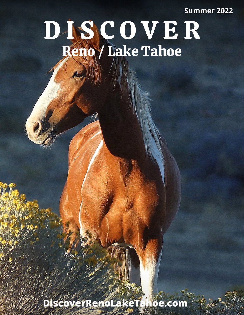 Dave McCraw / CEO tweet media