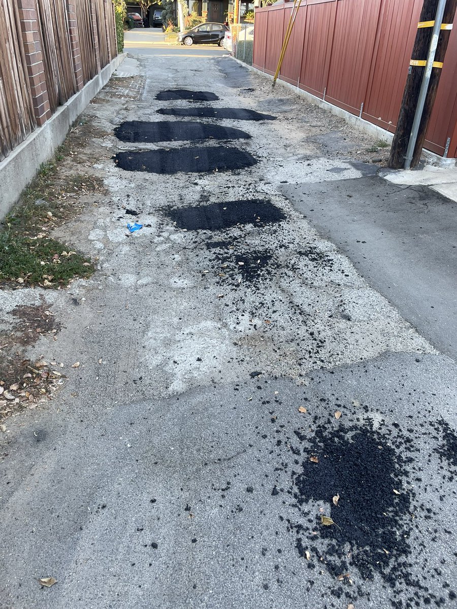 I put in a service request with <a href="/MyLA311/">Los Angeles 311</a> to get our decaying alley resurfaced and we got speed bumps… I think?