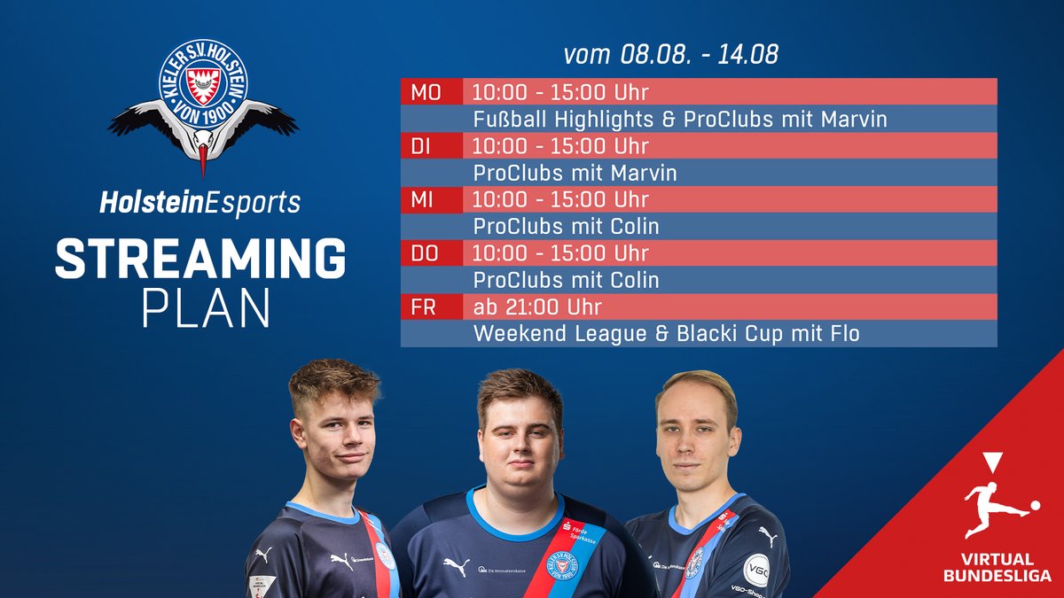 HolsteinEsports tweet media