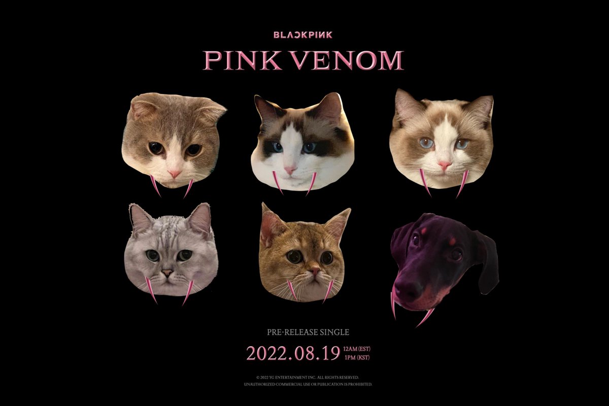 emptyspacea's tweet photo. ไปทำแข่!ทั้งแก๊งมา #พิษรักสีชมพู #PinkVenom https://t.co/jb6jH8LAo2