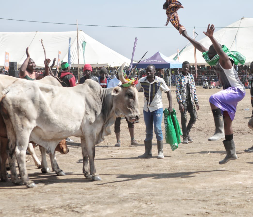 HHichilema's tweet photo. Lwanza traditional ceremony is marked by the splendid ‘kuwila’ in the Kafue plains where cattle herders guide their animals safely across the Lwanza River. Cattle are an important symbol of wealth for people in this Southern part of our country. #CulturalTourism #Zambia https://t.co/3Qw6lMPAwP