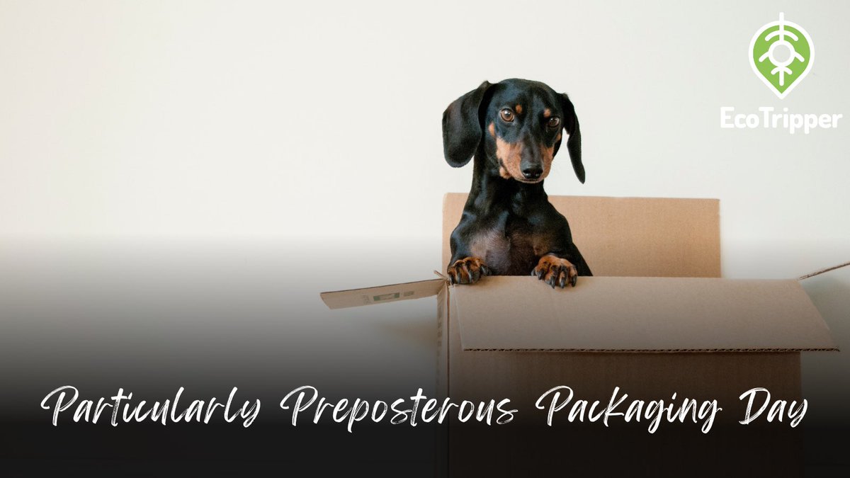 GetEcoTripper's tweet image. It’s a day for customers to recall annoying experiences they’ve had while battling with unnecessary packaging…

…And for manufacturers to consider using less packaging, being more sustainable, using recyclability to sell their products 📦

#ParticularlyPreposterousPackagingDay