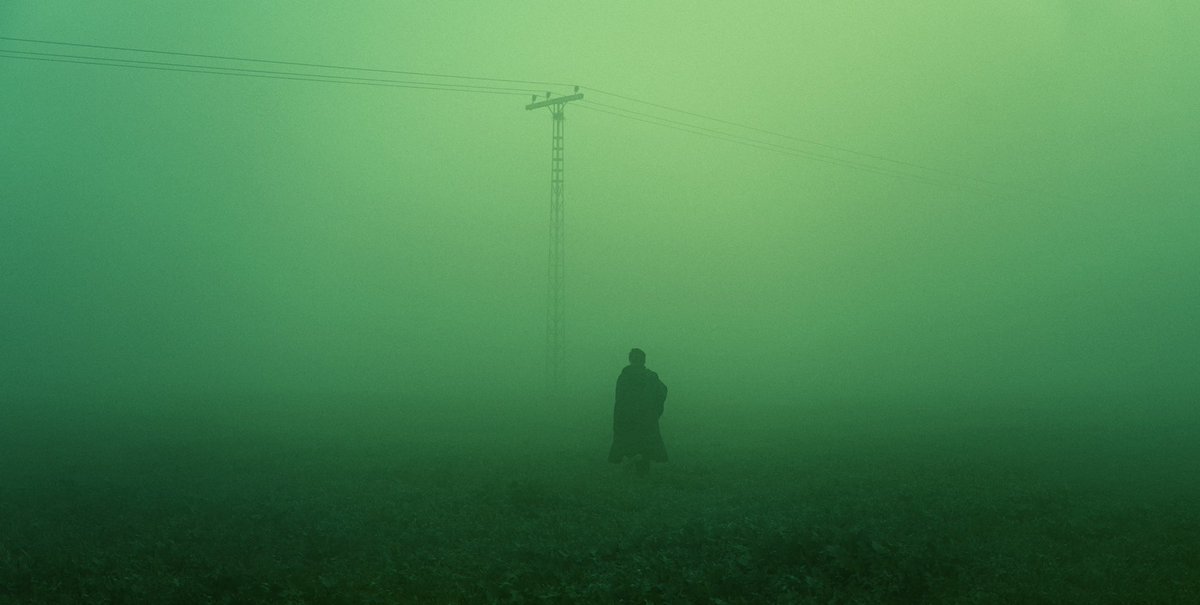 khumaix's tweet photo. Photos I took in fog. https://t.co/JHZob5CTVZ