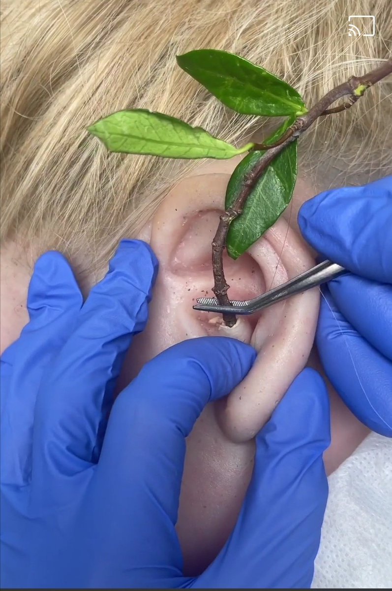 Хульхин дээр цэцэг ургана гэж энэ байхдаа😂😂😅