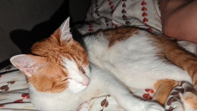 お前を守りきってこそ 