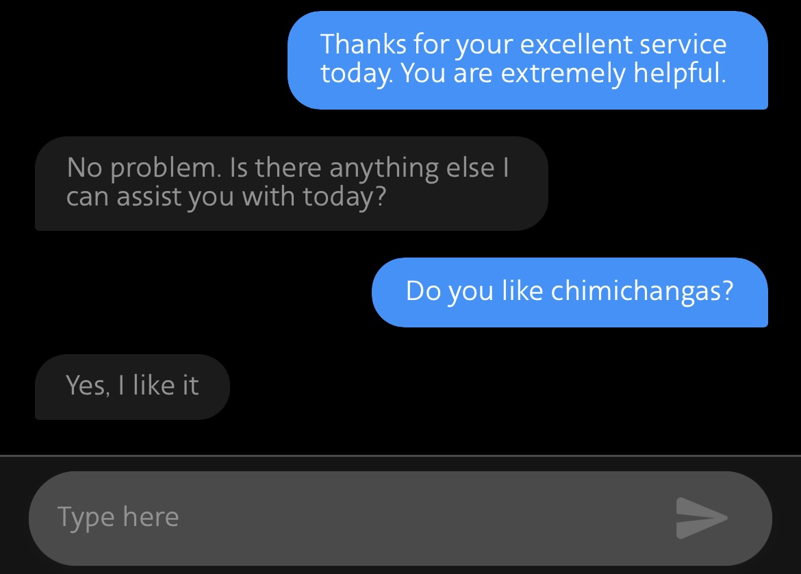 When you’re trying to see if the chat agent at <a href="/AmericanAir/">americanair</a> is a bot or not. #chimichanga