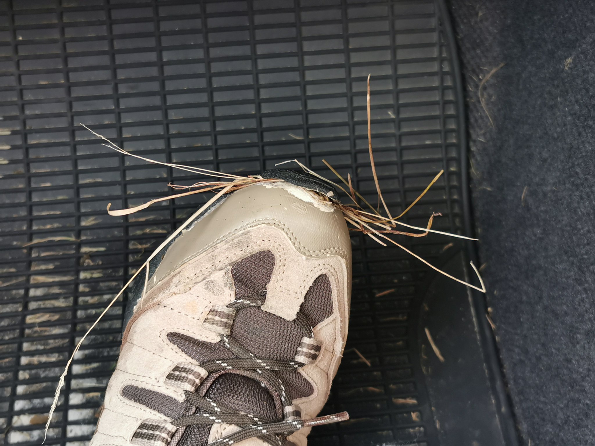 Sue Luxton on Twitter "Is it only me that wears hiking boots/trainers