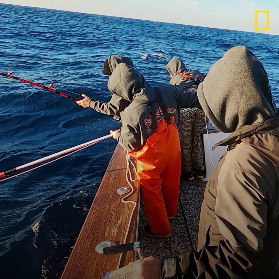 Wicked Tuna on Twitter "The Fishin' Frenzy team can't miss another throw, and you won't want to