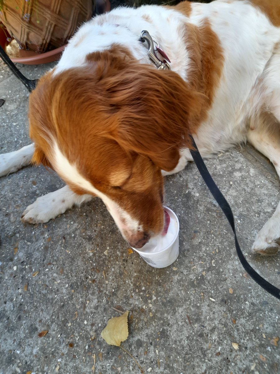 Cath Cooper 🍃💚🍃 #PlasticFreeJuly tweet media