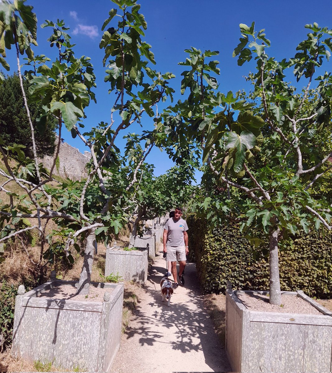 Cath Cooper 🍃💚🍃 #PlasticFreeJuly tweet media