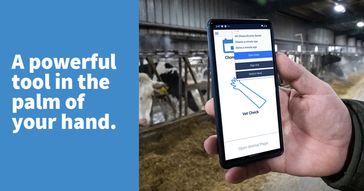 Have you been thinking about adding BoviSync to your toolbox? Take the next step by scheduling a demonstration today. bit.ly/3P8g5As