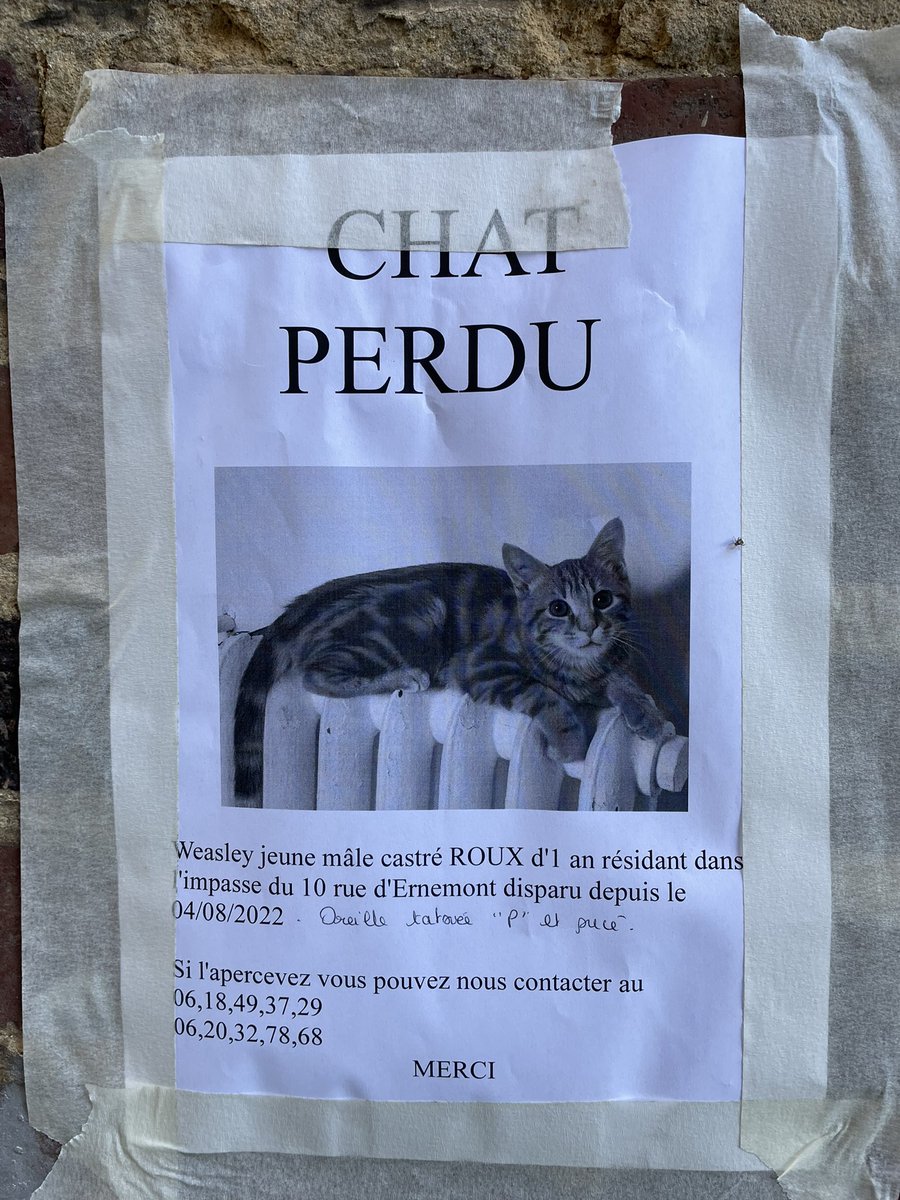 Murneellia Djezahbelle Twitter