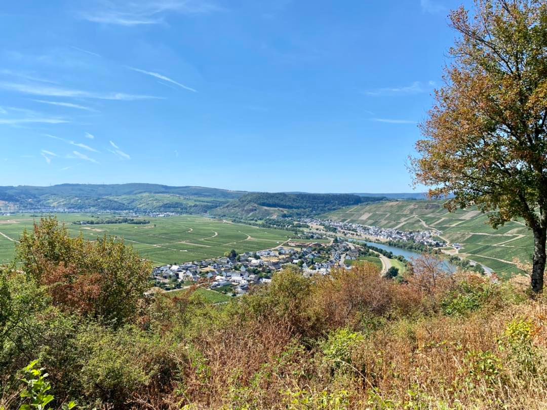 LokaloDE's tweet photo. Ein interessantes Sonntags-Ausflugsziel: Der 3.500 Jahre alte "Hinkelstein" 🪨 zwischen #Trittenheim, #Köwerich und #Klüsserath (sog. "Eselstratt"). Um den uralten Stein rankt sich eine Sage - und man hat einen wunderschönen Ausblick ins #Mosel|tal. 👁 https://t.co/SYkl0swtmt