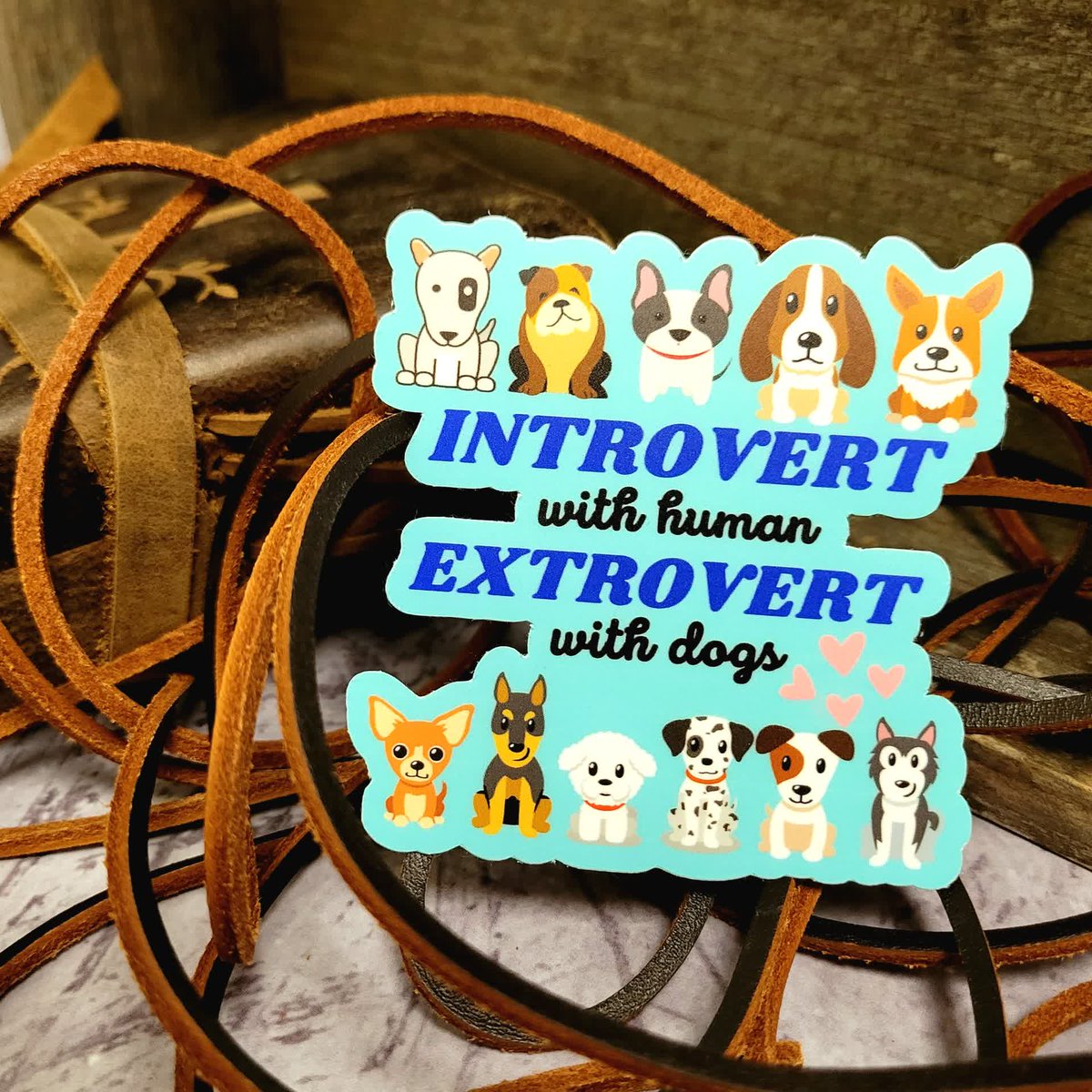 FastStickers's tweet photo. Where's my dog people at?

Order your custom sticker today! Check out the link in our bio

#introvertwithhumans #extrovertwithdogs #dogperson #dogstickers #petstickers #stickers #customstickers #faststickers #youstickers https://t.co/qLH4arIHkO