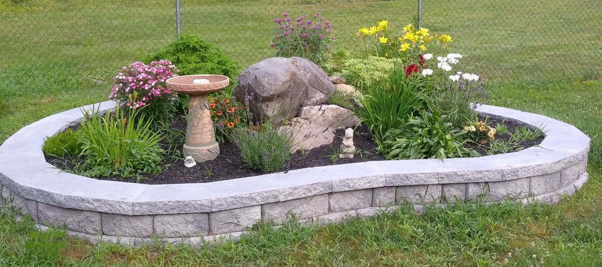 CindyDolloff's tweet photo. Loving my new garden! https://t.co/vroJQqQiTJ
