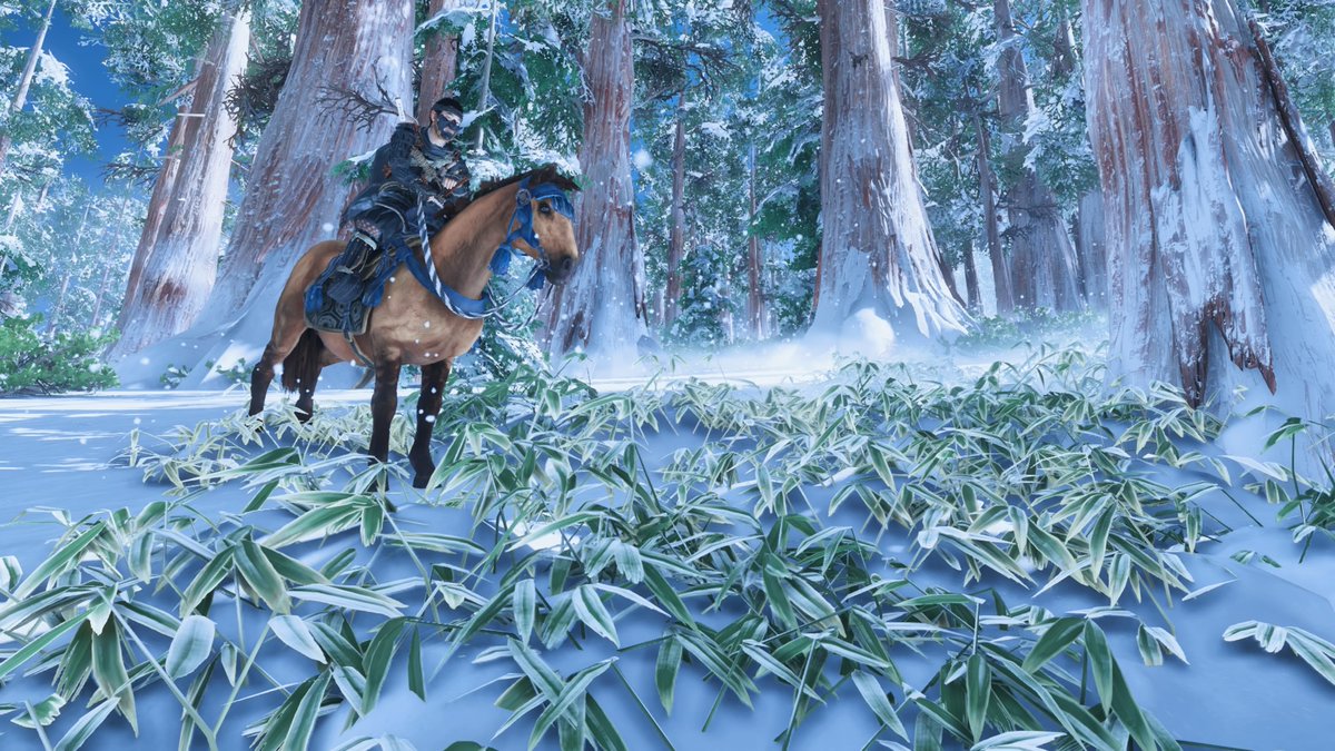 DrHectorLeon's tweet photo. #GhostOfTsushima #PS4share https://t.co/vyodFEvawe