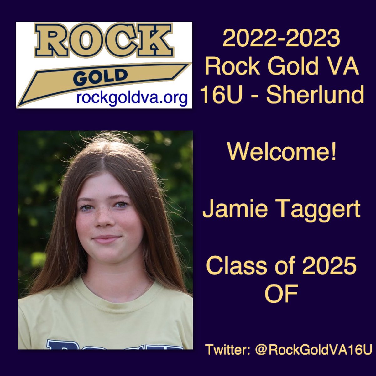 Rock Gold VA 16U 🥎 tweet media
