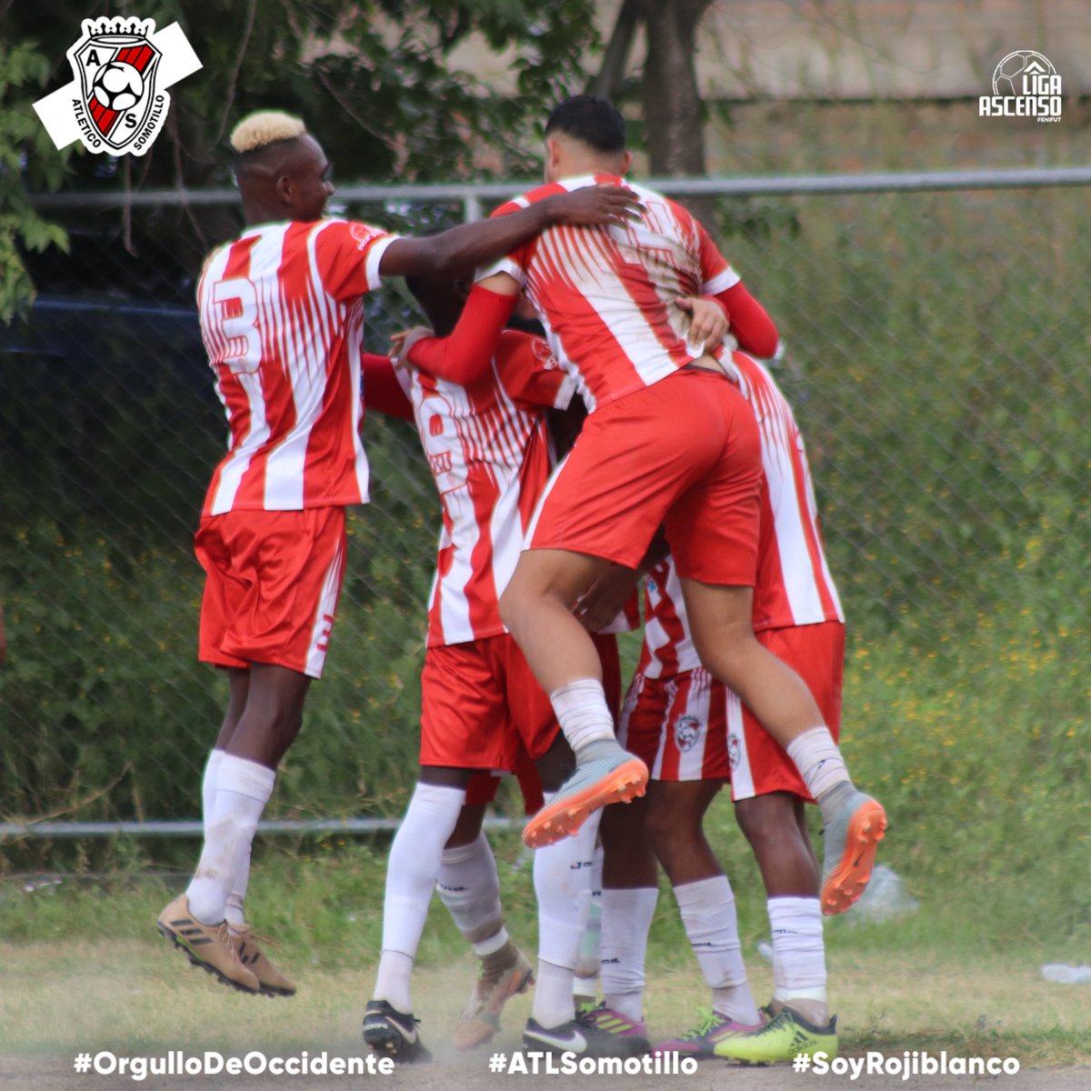 ASomotillo's tweet photo. ¡𝙂𝙊𝙊𝙊𝙊𝙇𝙇 𝙍𝙊𝙅𝙄𝘽𝙇𝘼𝙉𝘾𝙊! ❤️🤍❤️🤍❤️

🇮🇩 ¡SEÑOR GOL de  Walter Martínez! ⚽️😍

📲 https://t.co/OK7llGrmS1 https://t.co/UhrfRcqir7