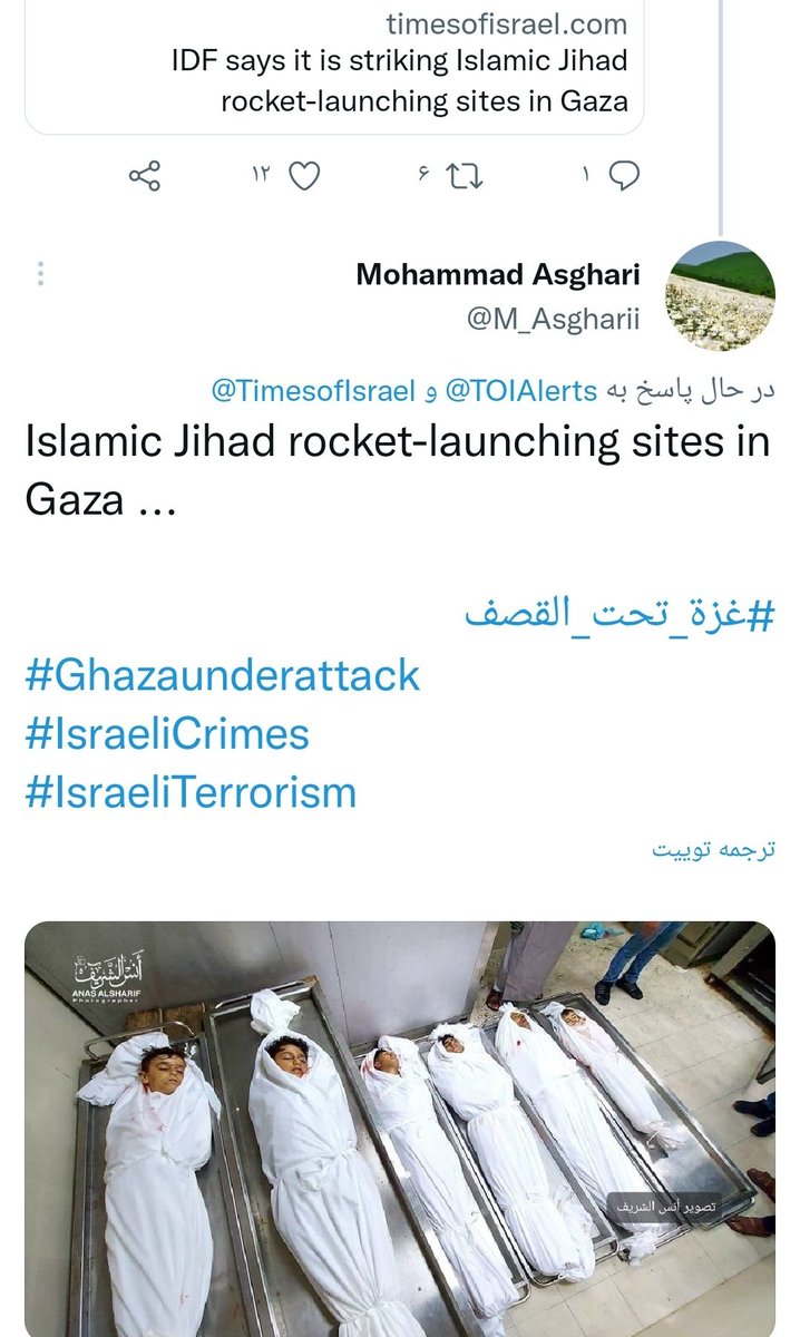 M_Asgharii's tweet photo. @Jerusalem_Post #GazaUnderAttack
#IsraeliTerrorism 
#IsraeliCrimes https://t.co/xXiR5AroPM