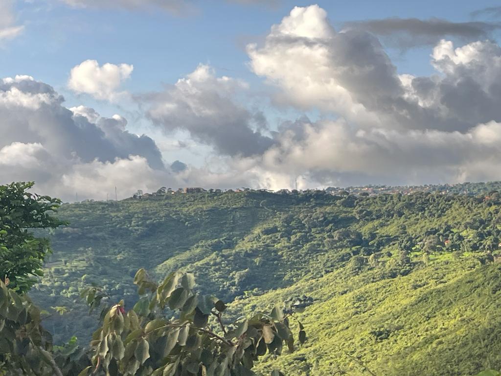 FatouSouareHann's tweet image. Je rends grace d&apos;avoir pu revoir le #fouta natal de mes parents #MaliYembering Fouta no foti 🥰 Apres #NZe #Beyla #Kissidougou #Kankan #Kouroussa Je me permets de braguer sur la beaute de notre pays de long en large puissamment verdoyant en 7 saison des pluies #blessed #OneGuinee