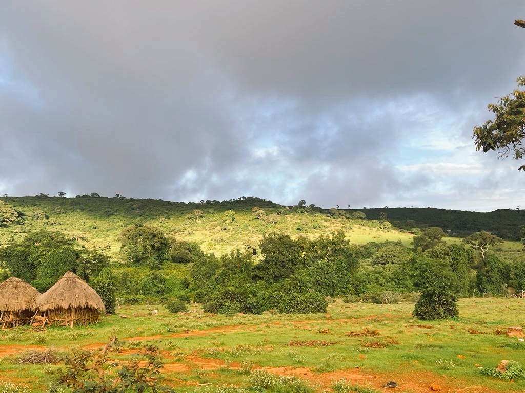 FatouSouareHann's tweet image. Je rends grace d&apos;avoir pu revoir le #fouta natal de mes parents #MaliYembering Fouta no foti 🥰 Apres #NZe #Beyla #Kissidougou #Kankan #Kouroussa Je me permets de braguer sur la beaute de notre pays de long en large puissamment verdoyant en 7 saison des pluies #blessed #OneGuinee