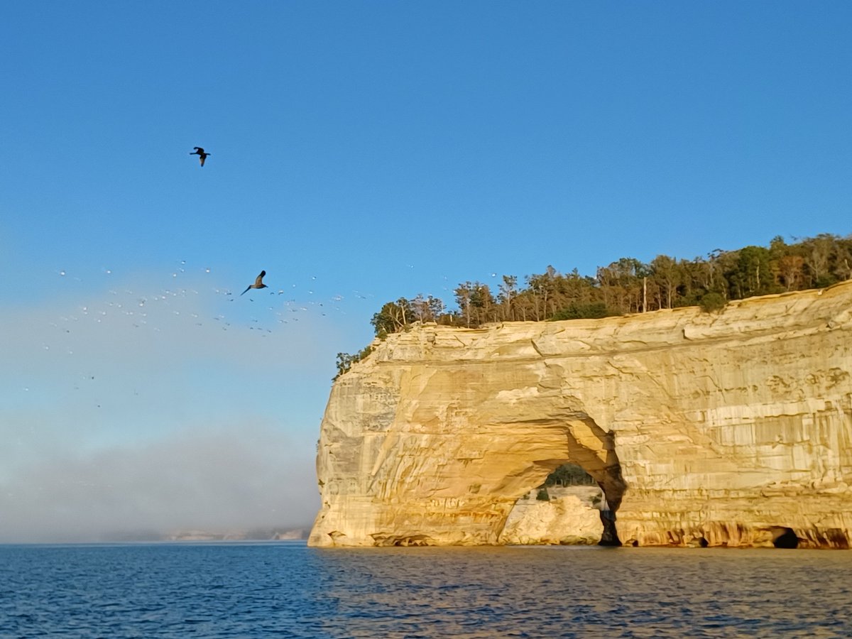 Sarah Kendzior tweet media