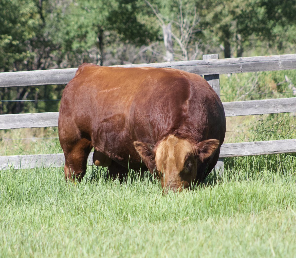 Red Bull ready and waiting to head for Dawson Creek in a couple days. Let the show road begin