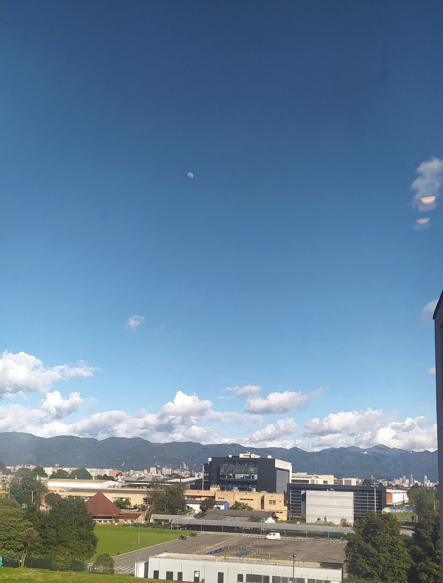 CamiLopez61's tweet photo. Bogotá feliz por Petrico 🥰 https://t.co/BfSboYGWPB
