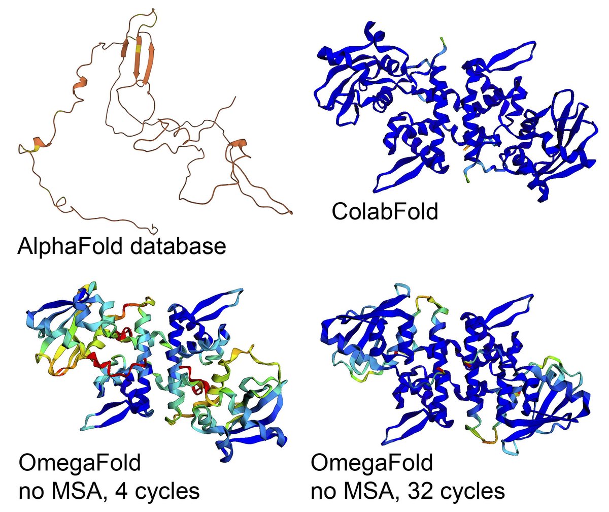 korotkov_lab's tweet photo. @sokrypton Here is an opposite example - Uniprot B2HHE4. #AlphaFold database model is low confidence whereas #OmegaFold models are reasonably good without MSA. https://t.co/BjjBv0LZZf