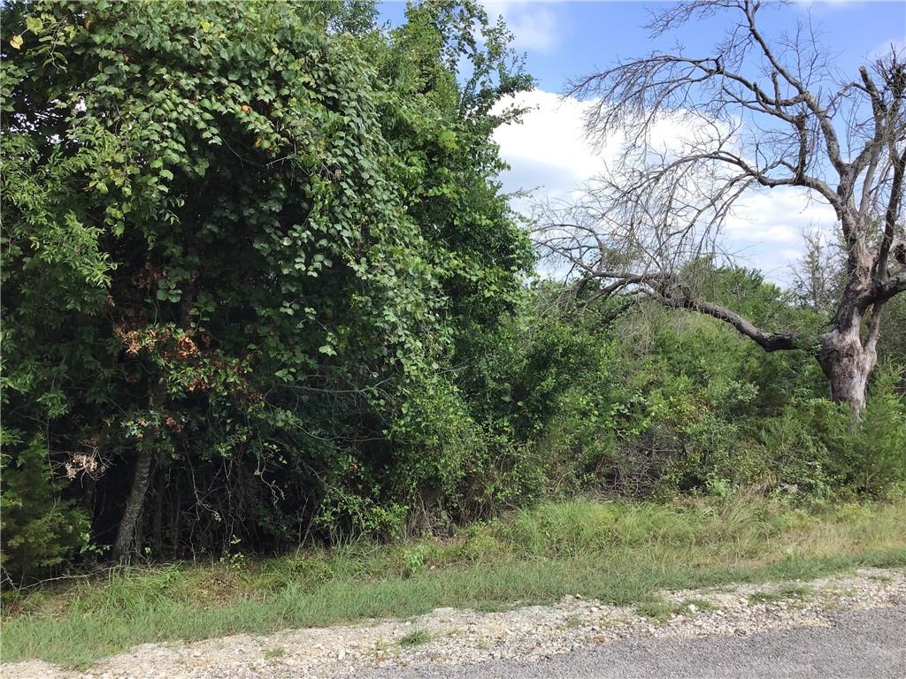 Check out our #listing in #Whitney #TX  #realestate #realtor tour.corelistingmachine.com/home/APXAK6