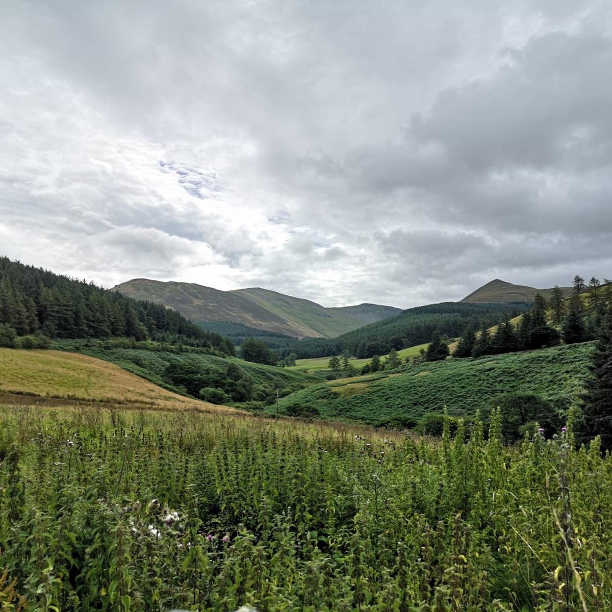 Coast 2 Coast - Workington to Tynemouth - 140 miles of fantastic scenery

#cycling #bike #lakedistrict #c2c #coast2coast @Sustrans