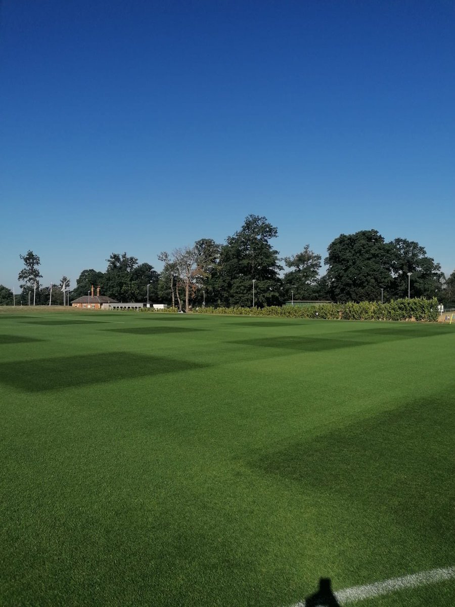RFCGroundsman's tweet photo. Here’s some grass for your Sunday evening 🌱🌱 https://t.co/IVTIvvvOvJ