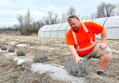 nongmoreport's tweet photo. Hoosier farmers are embracing #organic methods. https://t.co/ZscRsfbceP https://t.co/LdqKFtzW6F