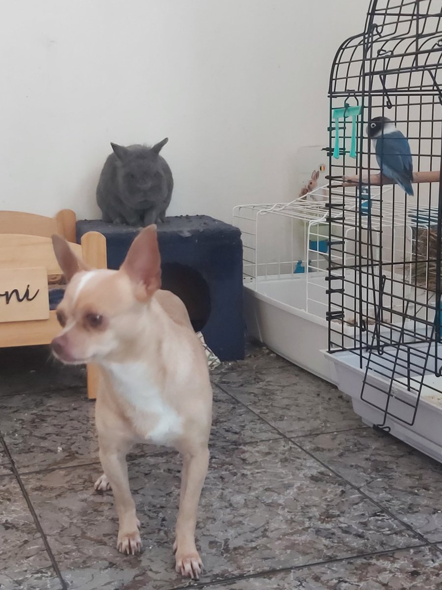 Yeray (@yeray_santm) on Twitter photo 