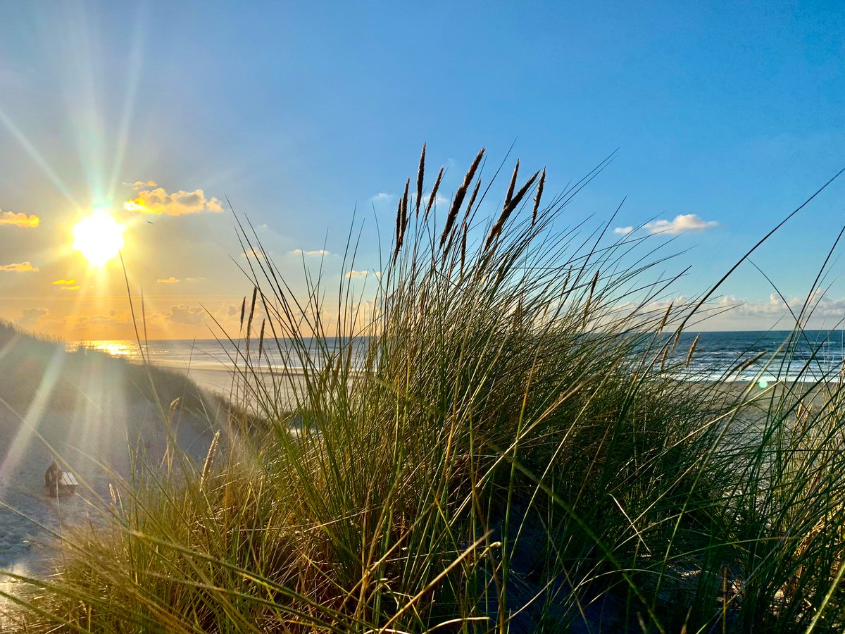 richardtkiewiet tweet media