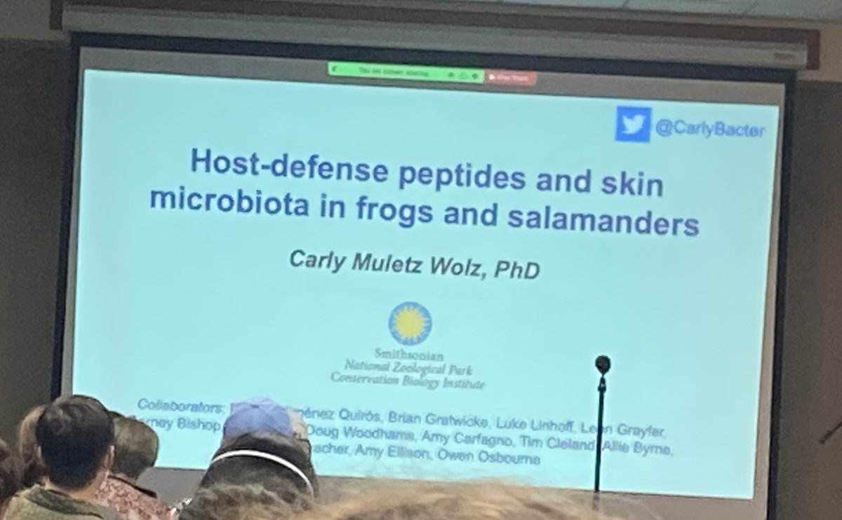 stevoallain's tweet image. The combined effect of the skin microbiome and antimicrobial peptides are also often overlooked, hopefully @Carlybacter’s talk can fill these knowledge gaps, and energise us all on the topic. #GARD2022 @GARD2022