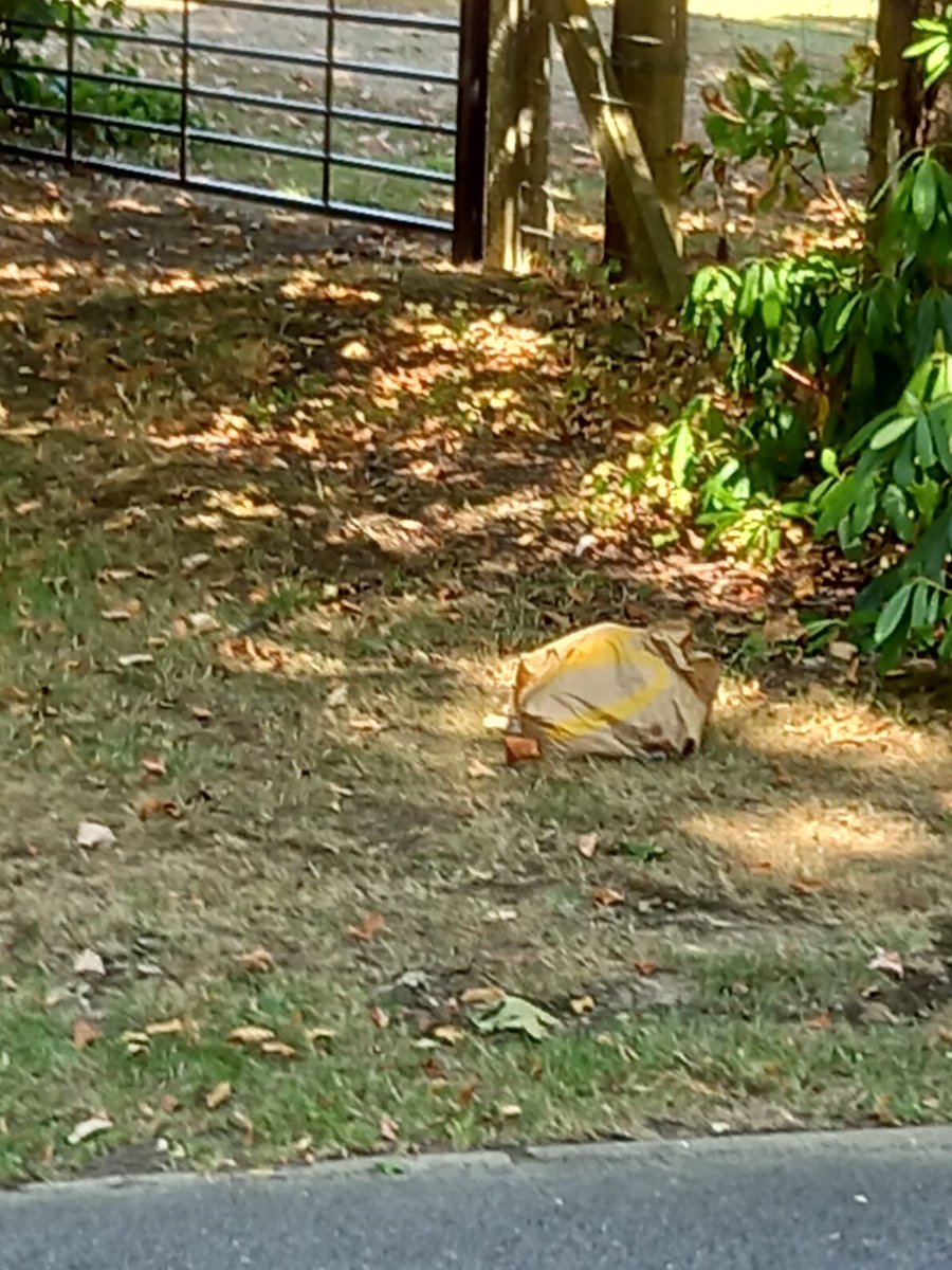 Littergram (@littergram) on Twitter photo Order placed at <a href="/McDonaldsUK/">McDonald's UK</a> #Tonbridge today at 10:45am. Order dumped in verges at 11:15am by <a href="/ubereats_uk/">Uber Eats UK</a> #Unbelievable #littering Order placed at <a href="/McDonaldsUK/">McDonald's UK</a> #Tonbridge today at 10:45am. Order dumped in verges at 11:15am by <a href="/ubereats_uk/">Uber Eats UK</a> #Unbelievable #littering