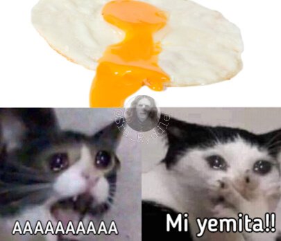 Q sabrás tu de dolor si nunca se te ha roto la yema del huevo cuando lo estás friendo