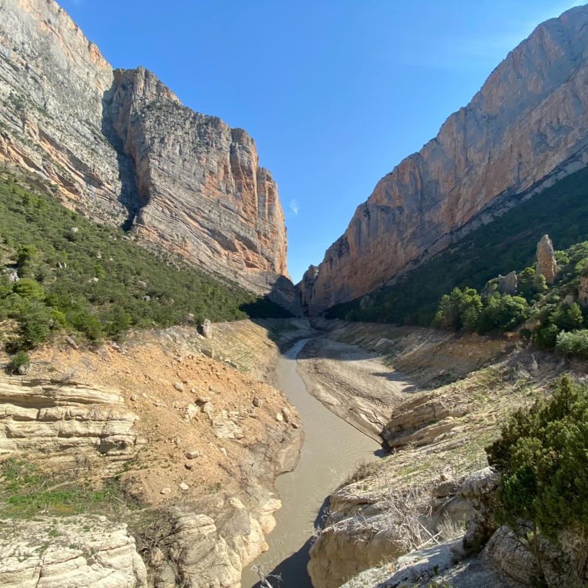 lasequeradel22's tweet photo. 🚨🚨🚨🚨 Aquest és l'estat del Congost de Mont-Rebei avui mateix.

No recordem imatges similars en els últims 20 anys. Molta preocupació i esperem aigua ben aviat per intentar calmar la preucupació.

Moltes gràcies per compartir les imatges amb nosaltres  @sergicorado1974 https://t.co/0OeZ58csEn