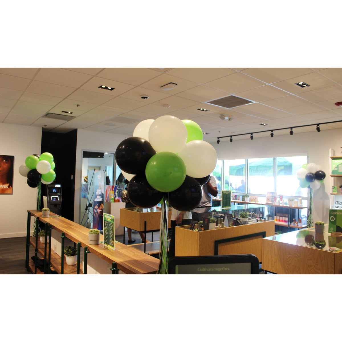 trulieve_az's tweet photo. What an amazing kick off &amp; grand opening celebration of our FIRST Trulieve in Arizona 🏜 Being located right in the heart of Phoenix in downtown, your presence vibrates through First Friday💚. All your favorite Harvest teams, faces, natural relief, and more are here to stay 🤩 https://t.co/jPqoj1yBqt