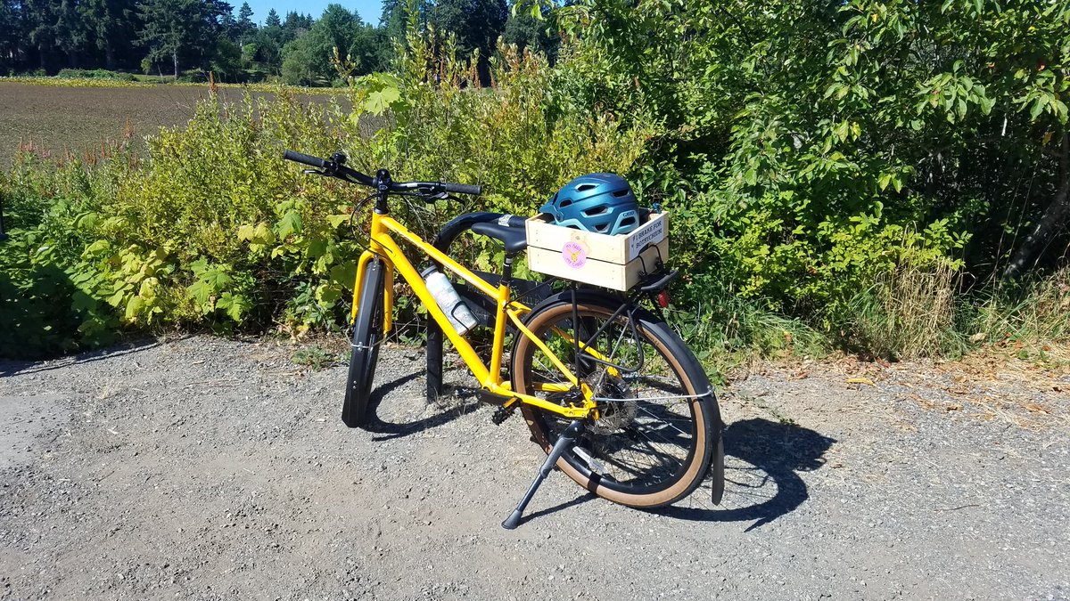 FervorforFerns's tweet photo. Thanks to the swag made by @softcorebotany, many people on the trail were asking me about #Botrychium. Aspen (my bike) has some other great swag for #BansOffOurBodies made my a university classmate (instagram: @hafuceramics) https://t.co/kqdGoq01qk